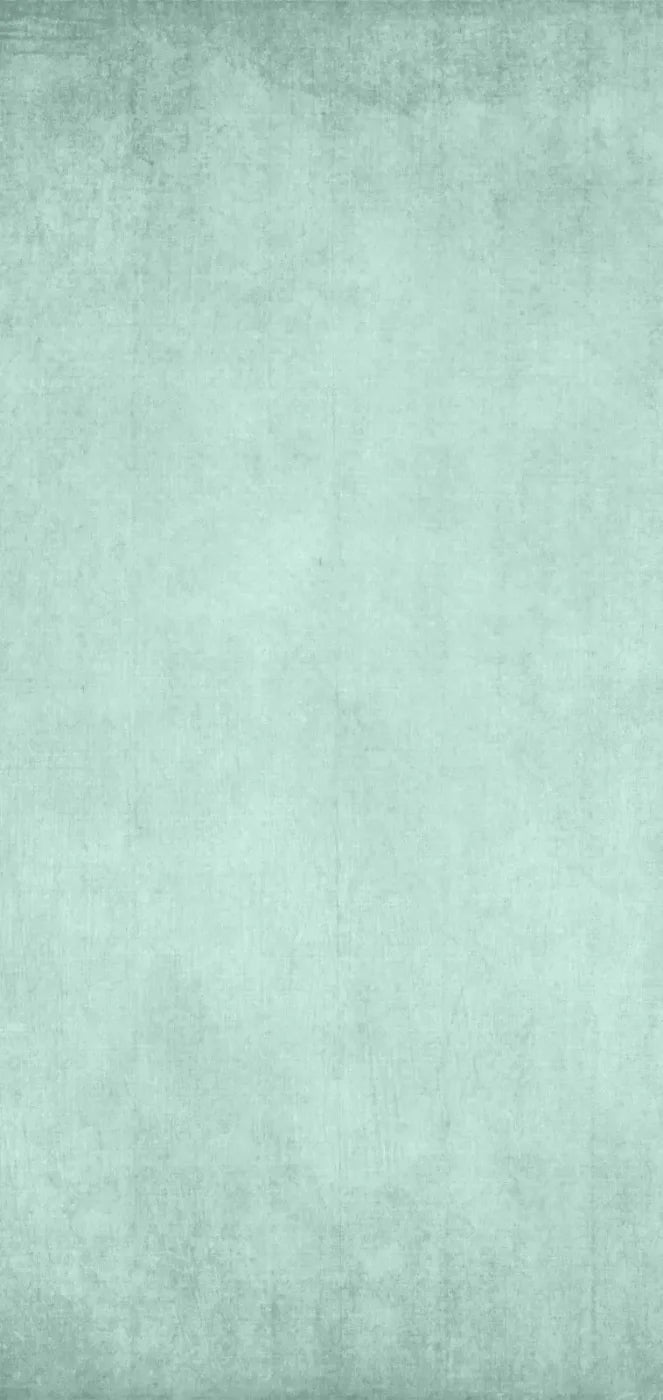 Brayden Mint 8X16 Ultracloth ( 96 X 192 Inch ) Backdrop