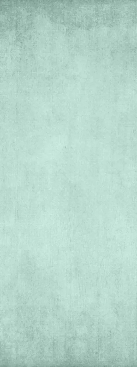 Brayden Mint 8X20 Ultracloth ( 96 X 240 Inch ) Backdrop