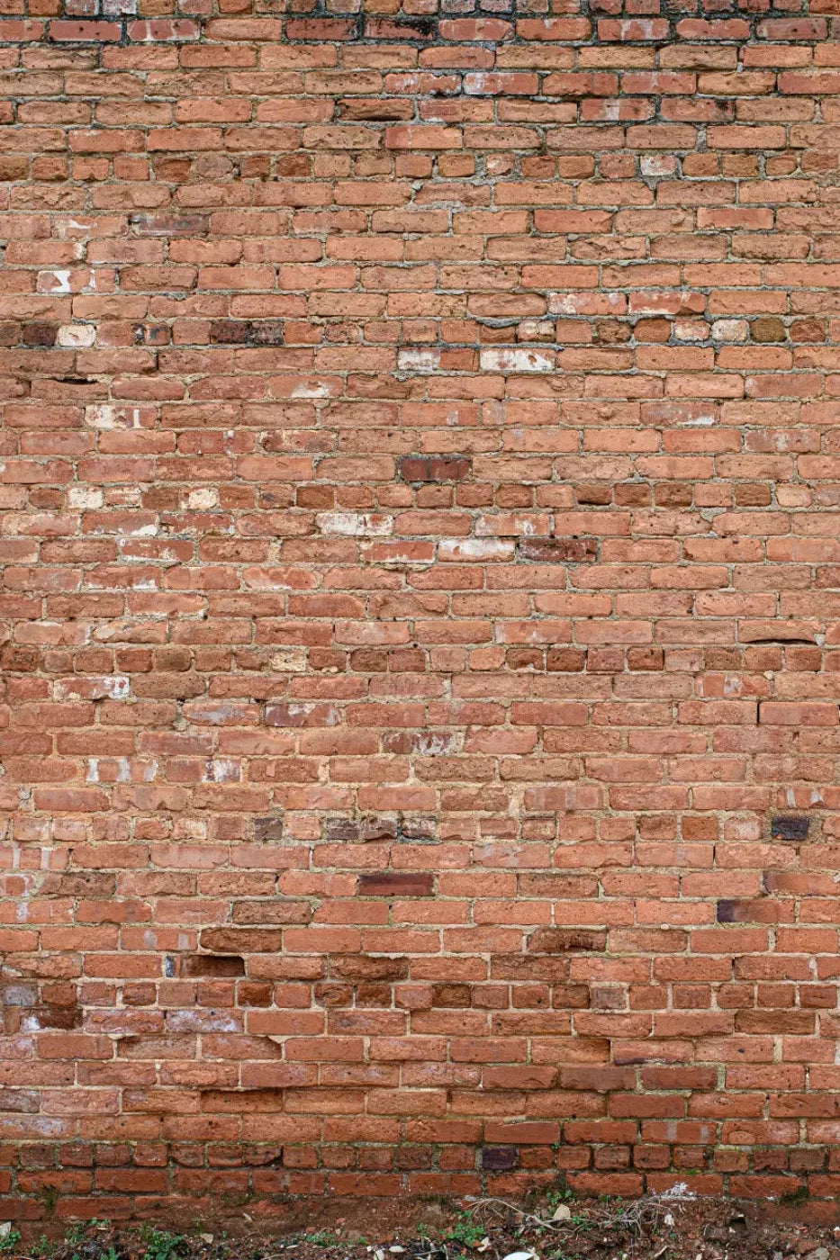 Brick Wall Backdrop