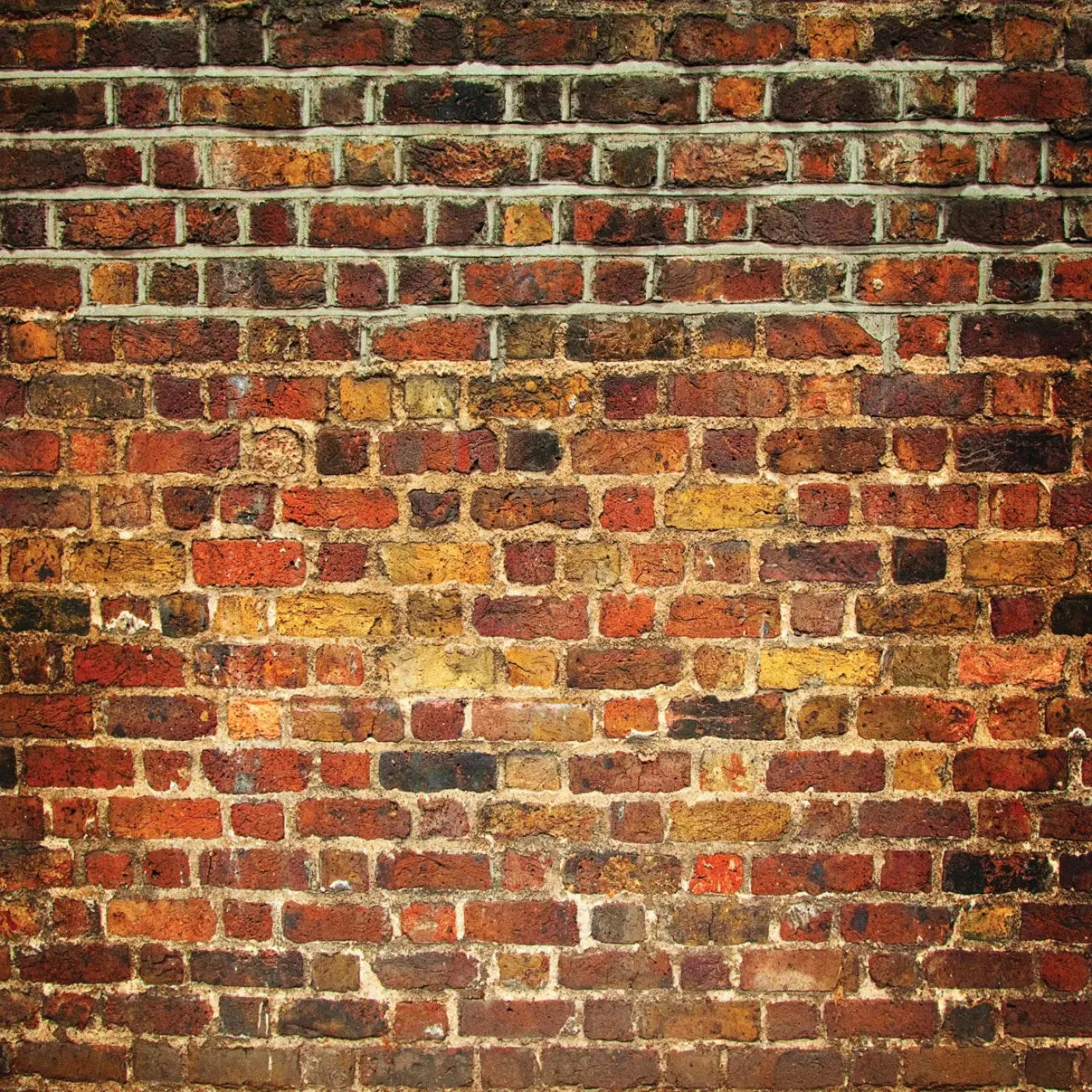 Bricklayer Vivid 10X10 Ultracloth ( 120 X Inch ) Backdrop