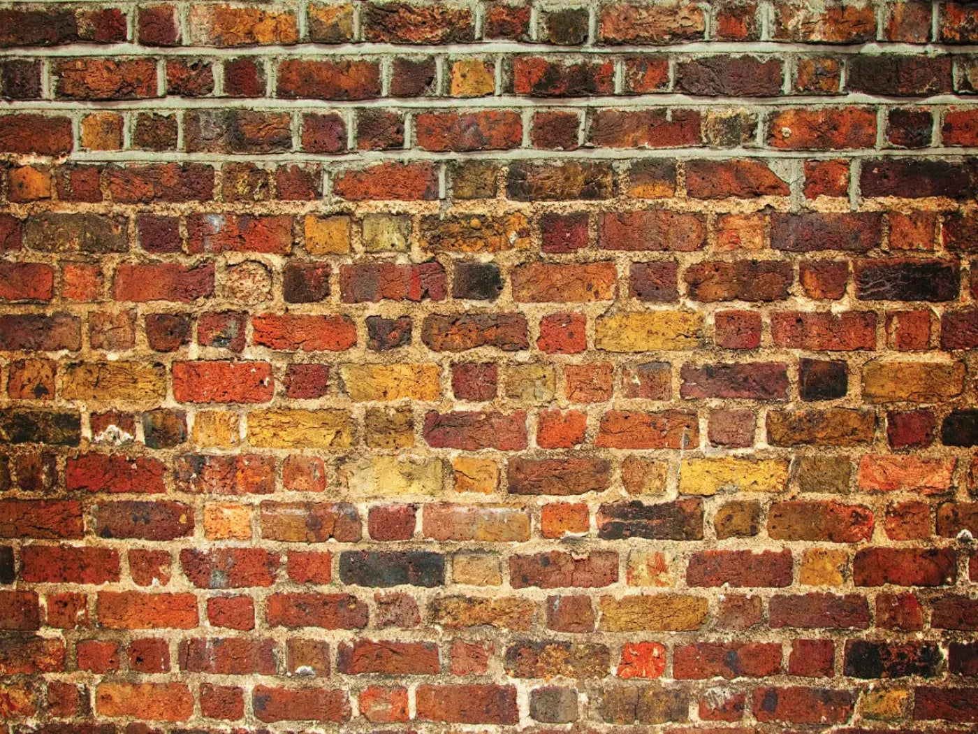 Bricklayer Vivid 10X8 Fleece ( 120 X 96 Inch ) Backdrop