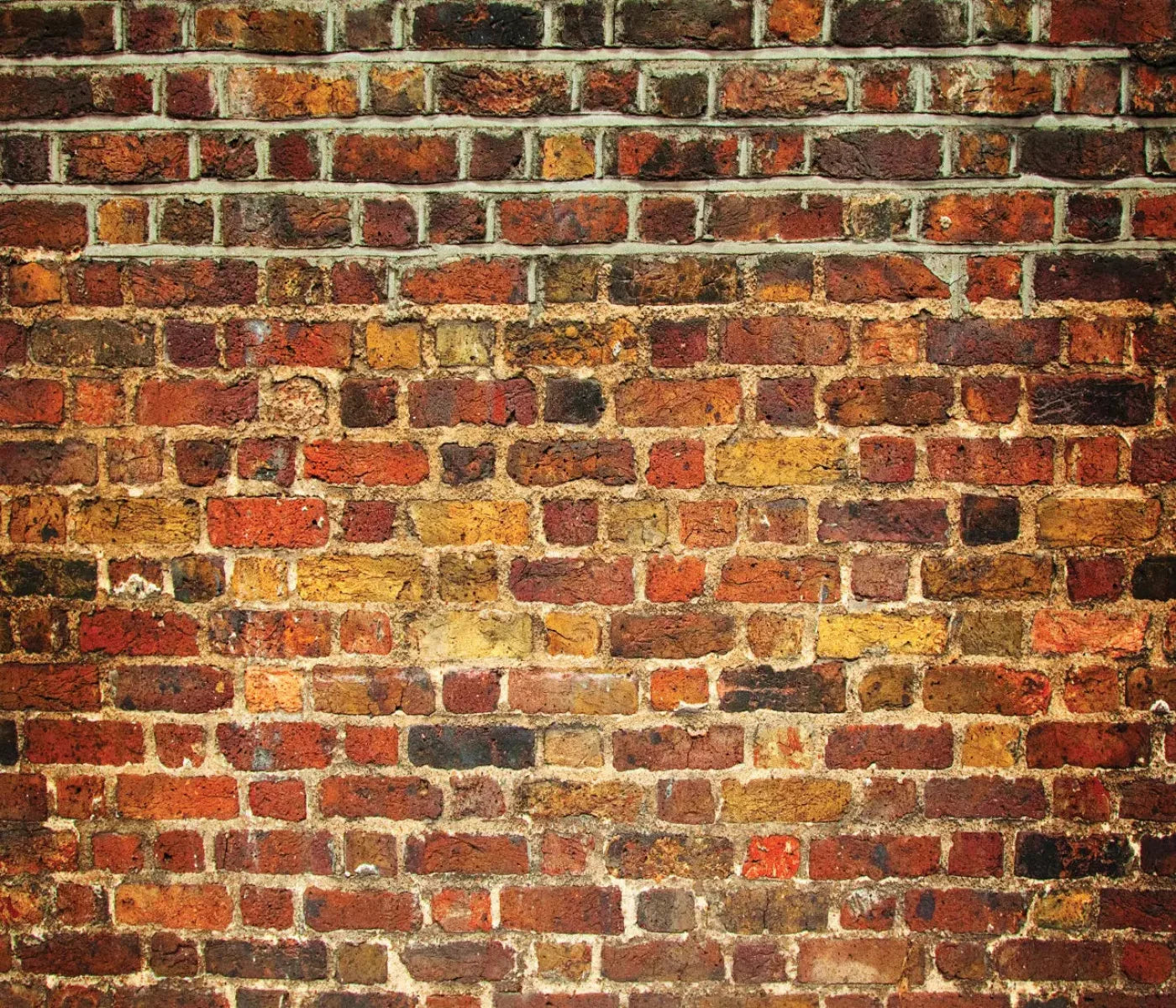 Bricklayer Vivid 12X10 Ultracloth ( 144 X 120 Inch ) Backdrop