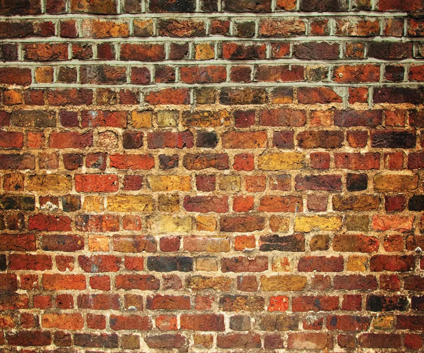 Bricklayer Vivid 5X42 Fleece ( 60 X 50 Inch ) Backdrop