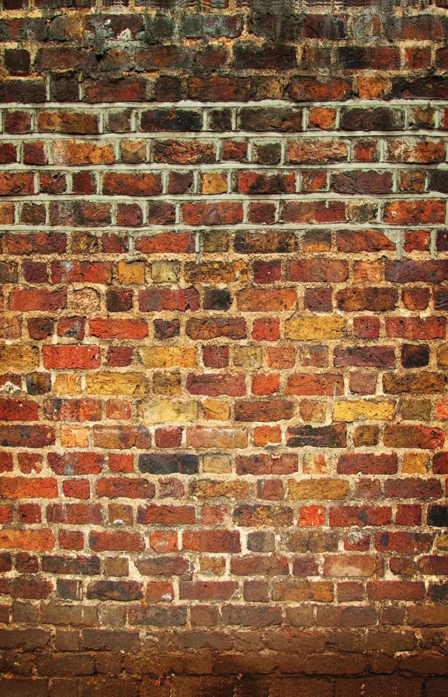 Bricklayer Vivid 8X12 Ultracloth ( 96 X 144 Inch ) Backdrop