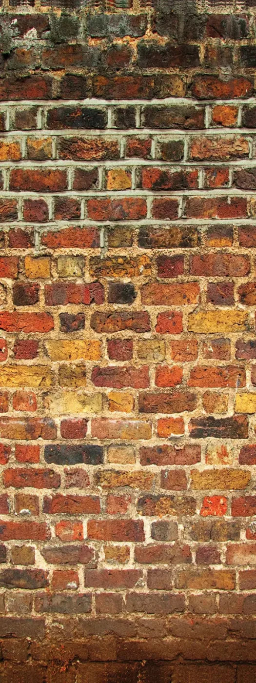 Bricklayer Vivid 8X20 Ultracloth ( 96 X 240 Inch ) Backdrop