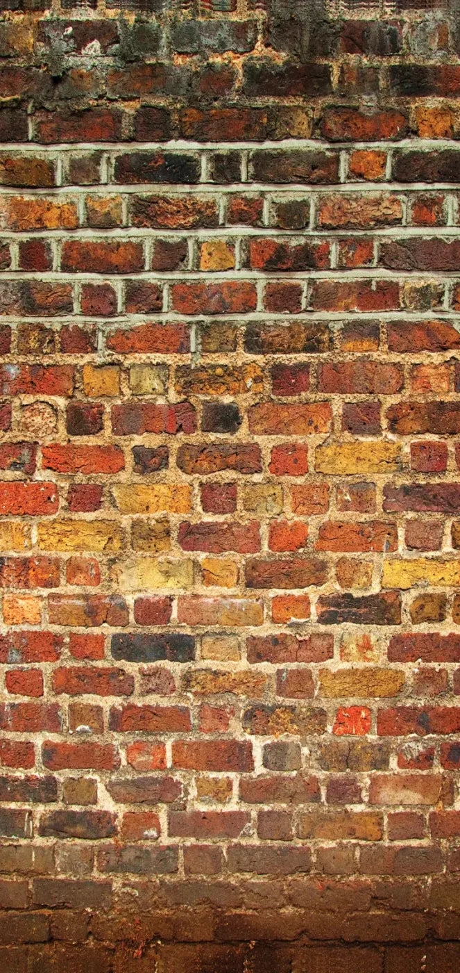 Bricklayer Vivid 8X16 Ultracloth ( 96 X 192 Inch ) Backdrop