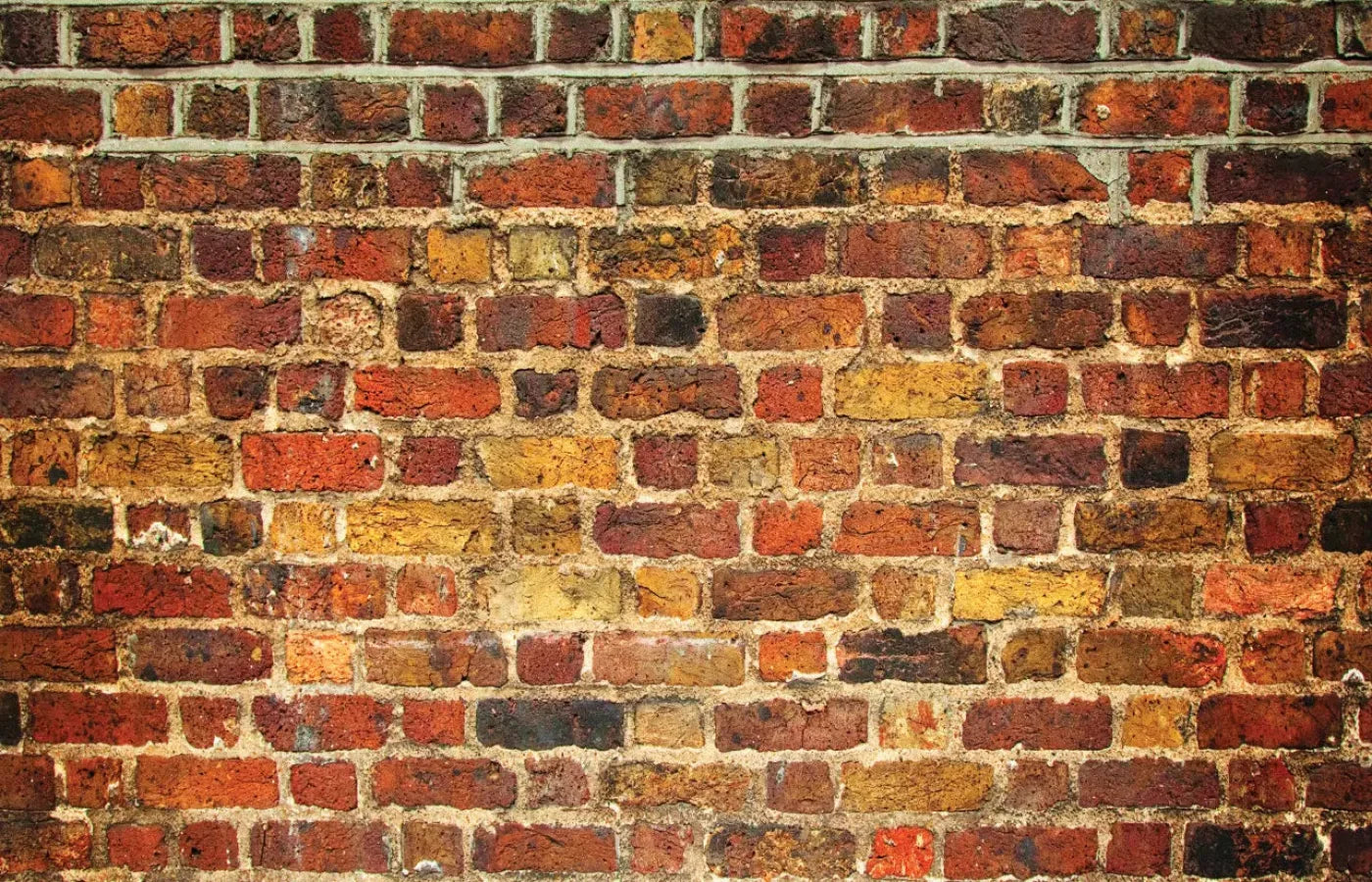 Bricklayer Vivid 12X8 Ultracloth ( 144 X 96 Inch ) Backdrop