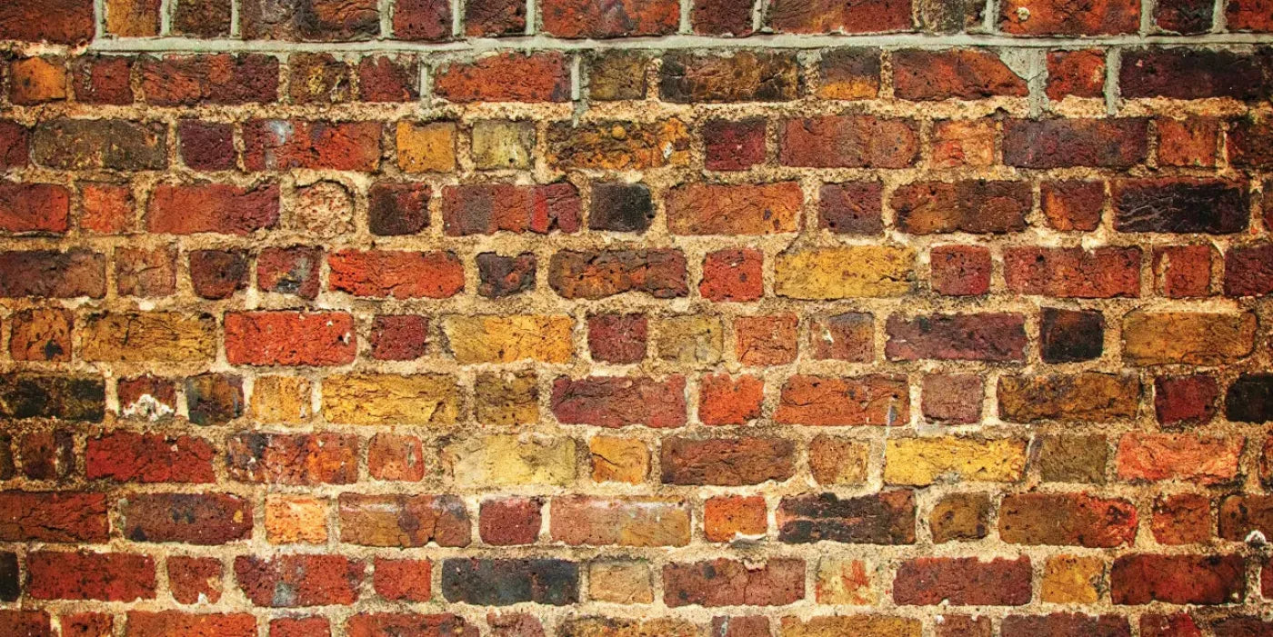 Bricklayer Vivid 20X10 Ultracloth ( 240 X 120 Inch ) Backdrop