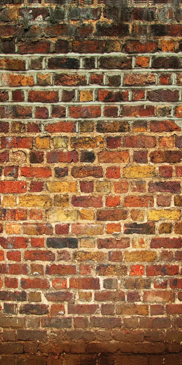 Bricklayer Vivid 10X20 Ultracloth ( 120 X 240 Inch ) Backdrop