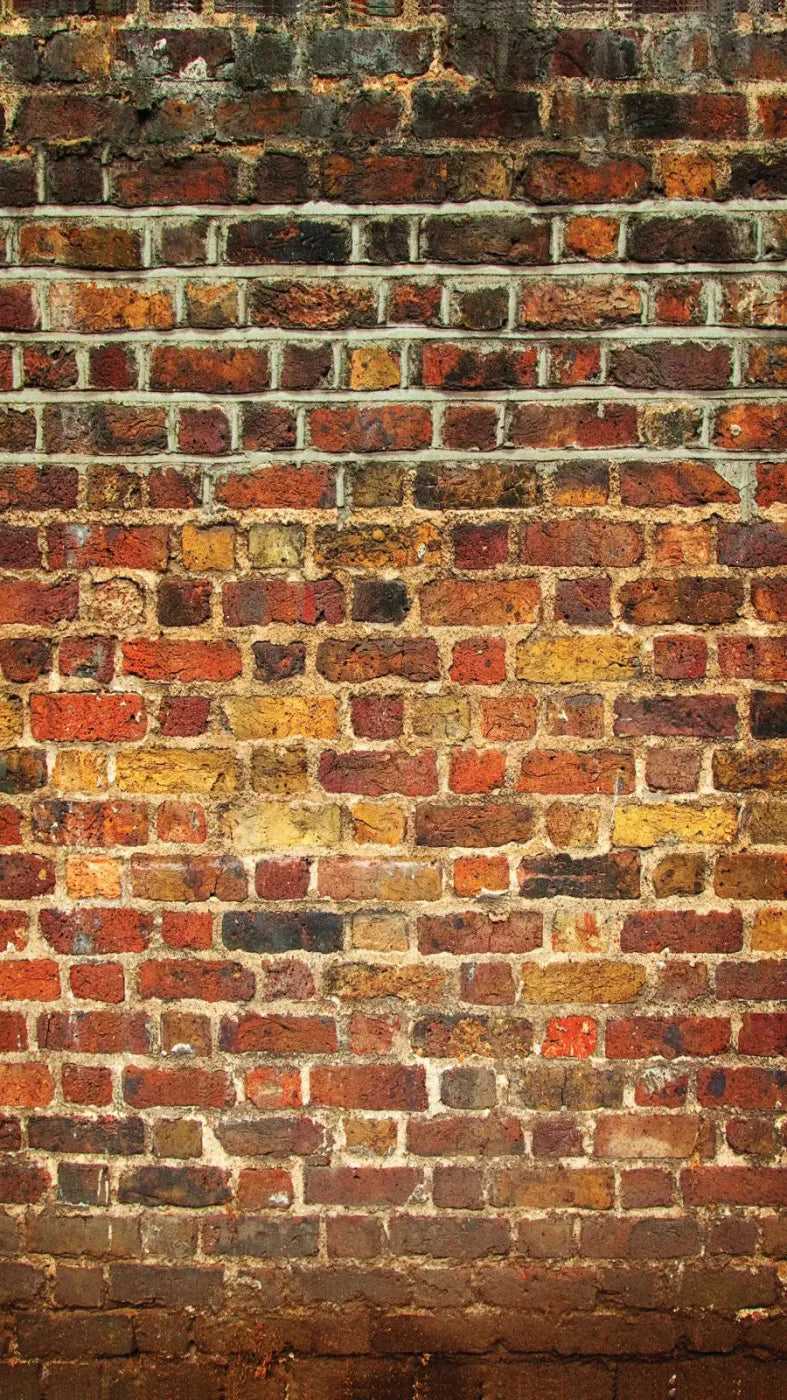 Bricklayer Vivid 8X14 Ultracloth ( 96 X 168 Inch ) Backdrop