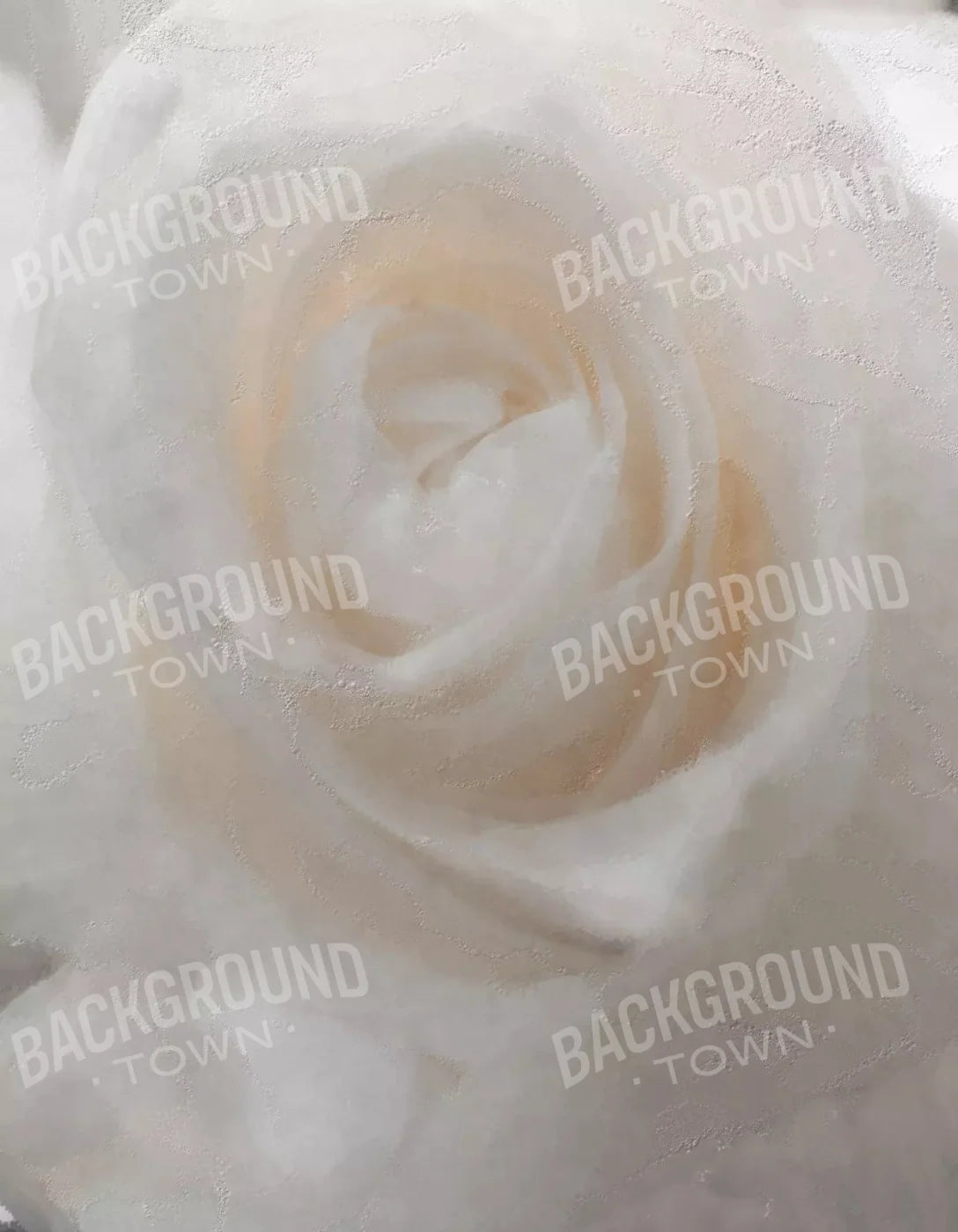 Bridal Rose 6X8 Fleece ( 72 X 96 Inch ) Backdrop