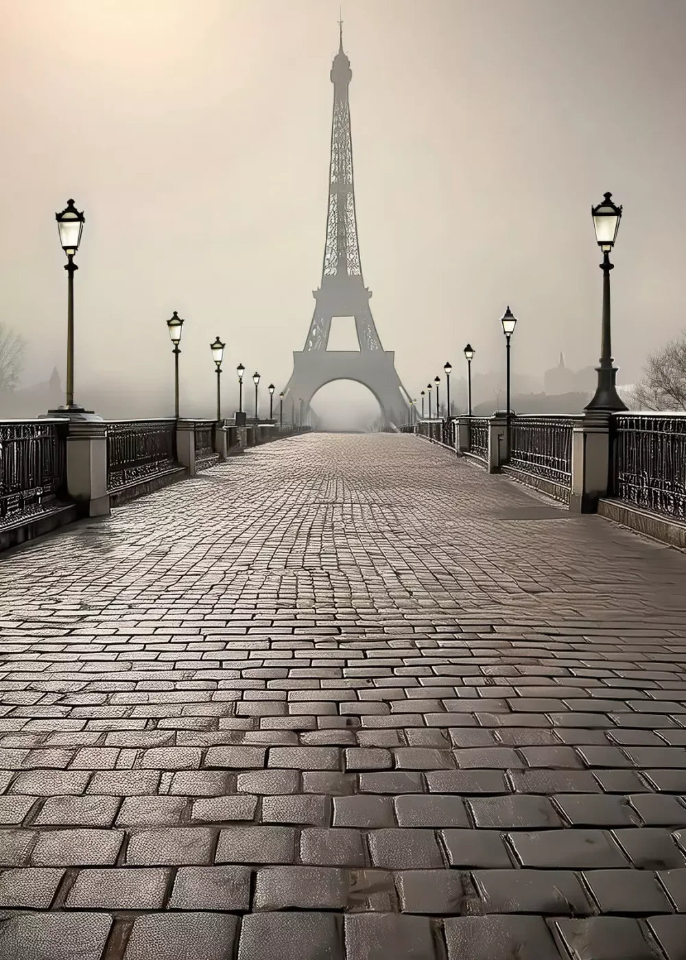 Bridge to Paris 5’x7’ UltraCloth (60 x 84 inch) Backdrop