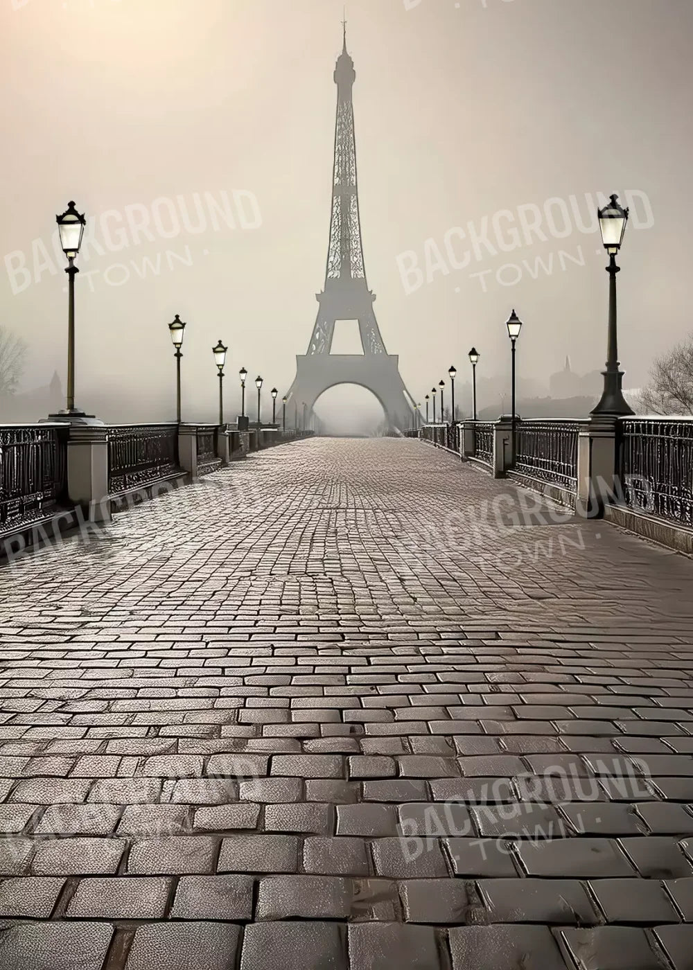 Bridge to Paris 5’x7’ UltraCloth (60 x 84 inch) Backdrop