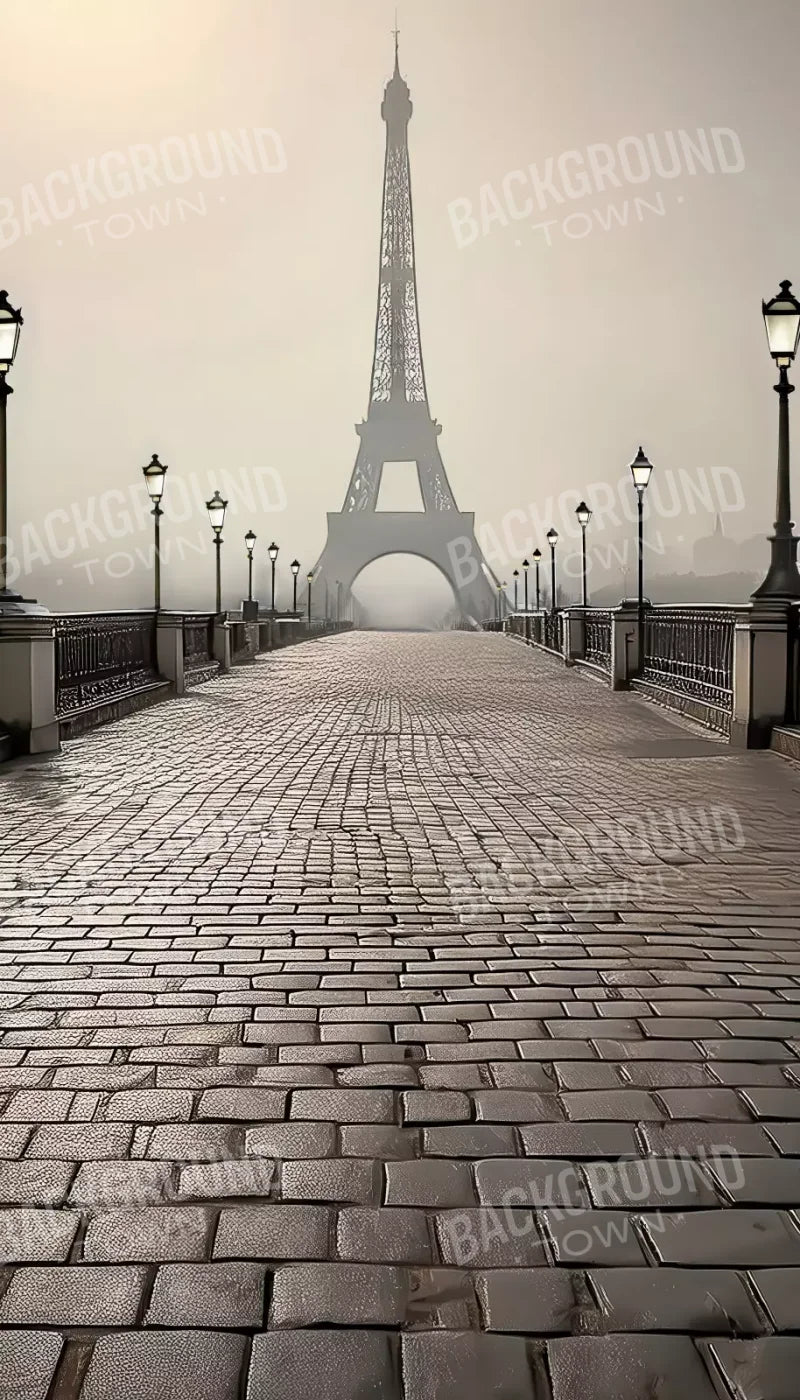 Bridge to Paris 8’x14’ UltraCloth (96 x 168 inch) Backdrop