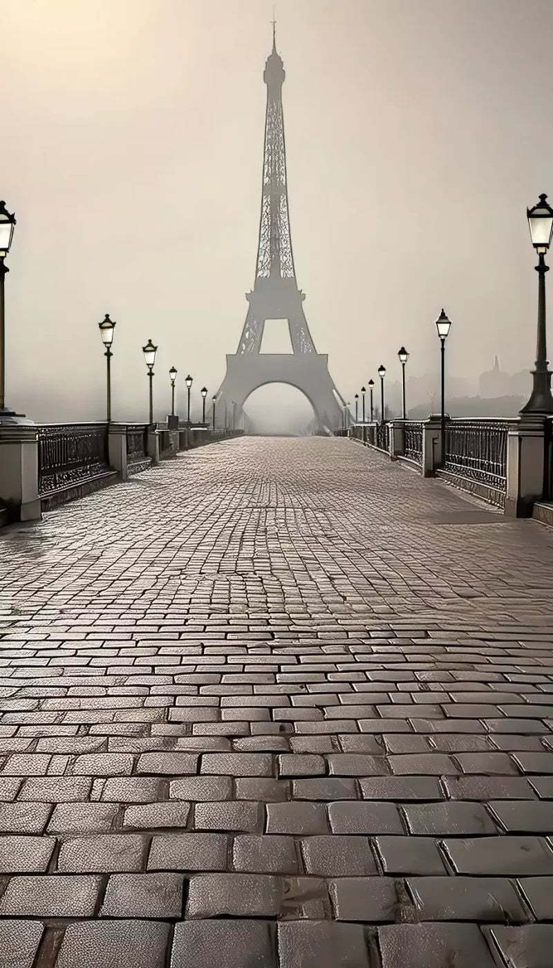 Bridge to Paris 8’x14’ UltraCloth (96 x 168 inch) Backdrop