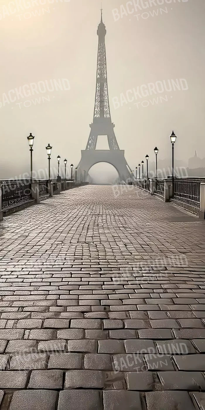 Bridge to Paris 8’x16’ UltraCloth (96 x 192 inch) Backdrop