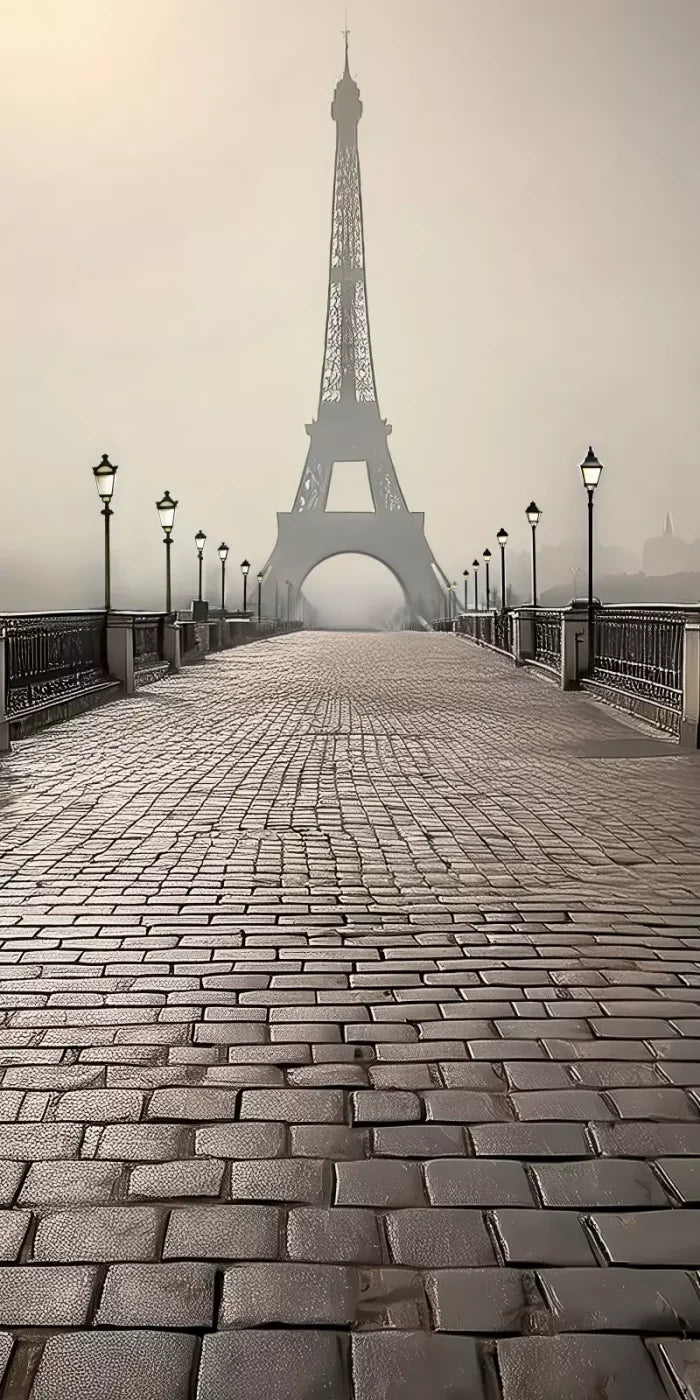 Bridge to Paris 8’x16’ UltraCloth (96 x 192 inch) Backdrop