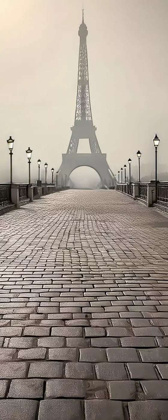 Bridge to Paris 8’x20’ UltraCloth (96 x 240 inch) Backdrop
