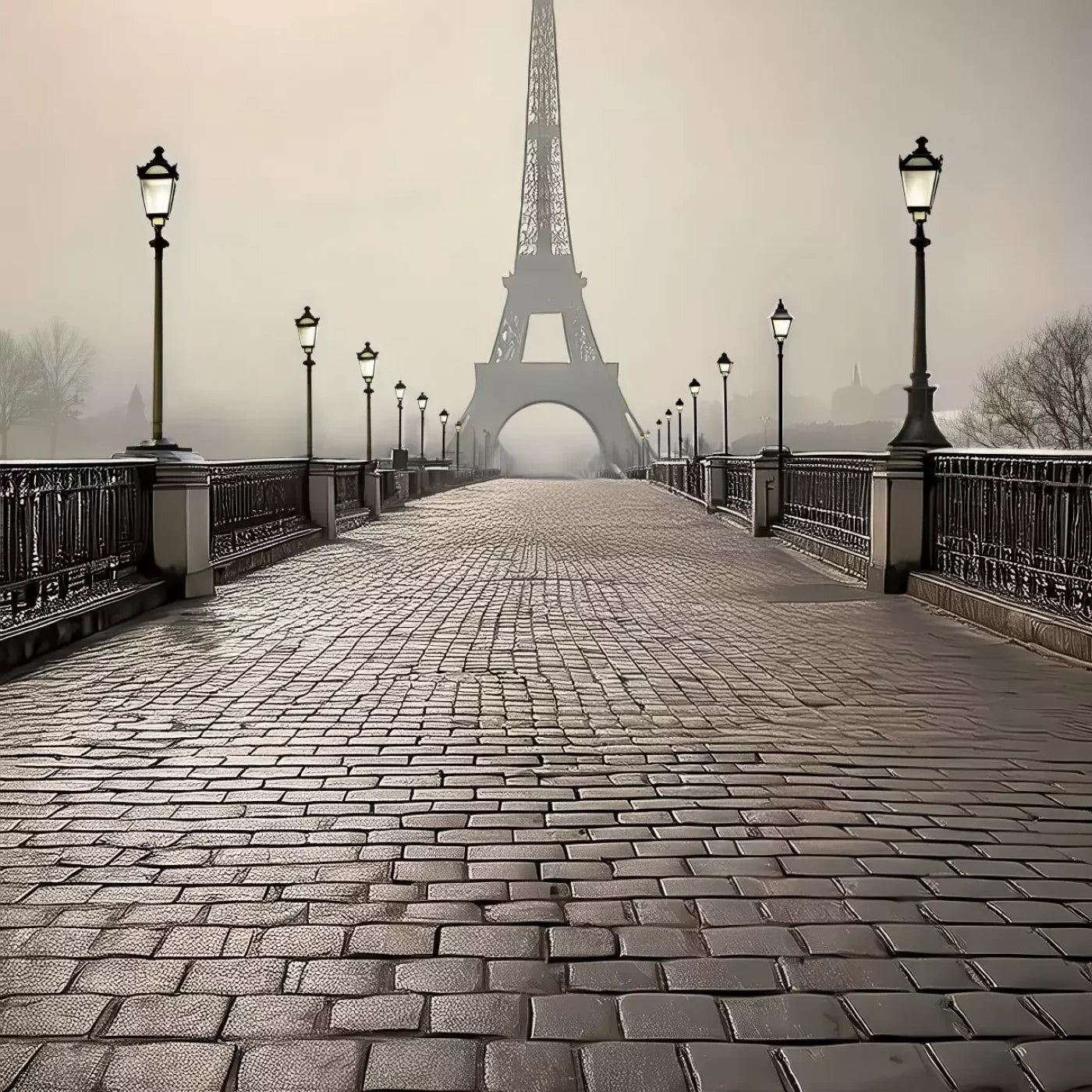 Bridge to Paris Backdrop