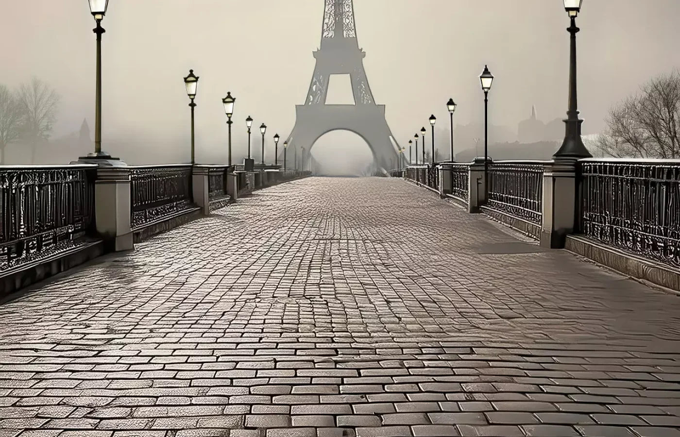 Bridge to Paris Backdrop