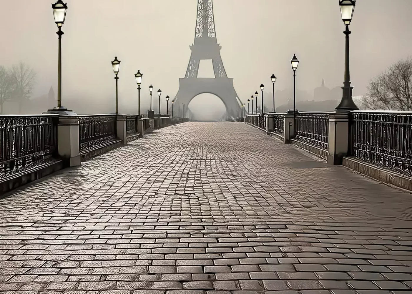 Bridge to Paris Backdrop