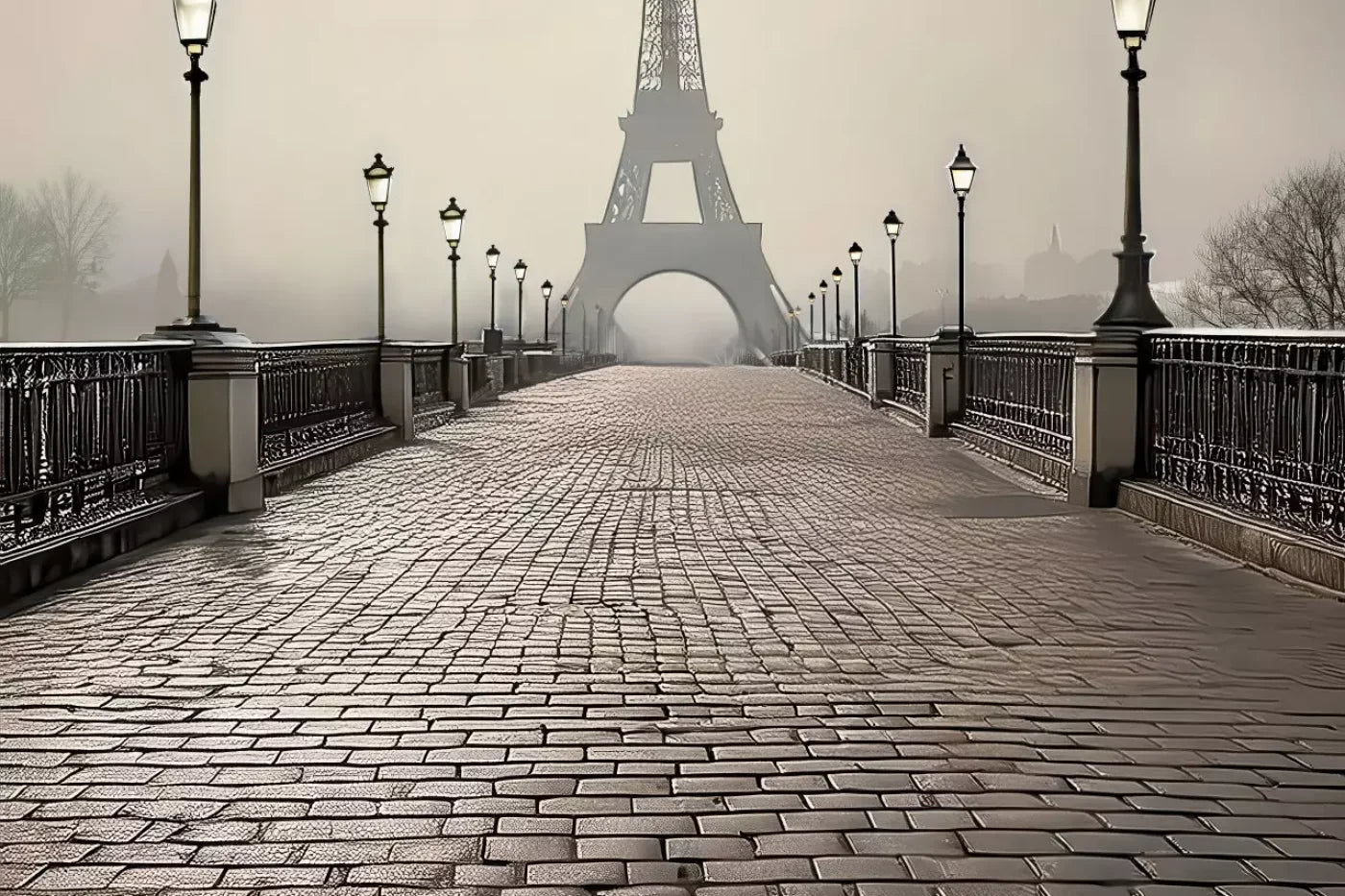 Bridge to Paris Backdrop