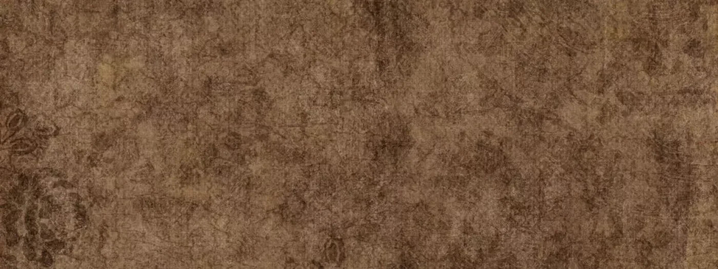 Brownie 20X8 Ultracloth ( 240 X 96 Inch ) Backdrop