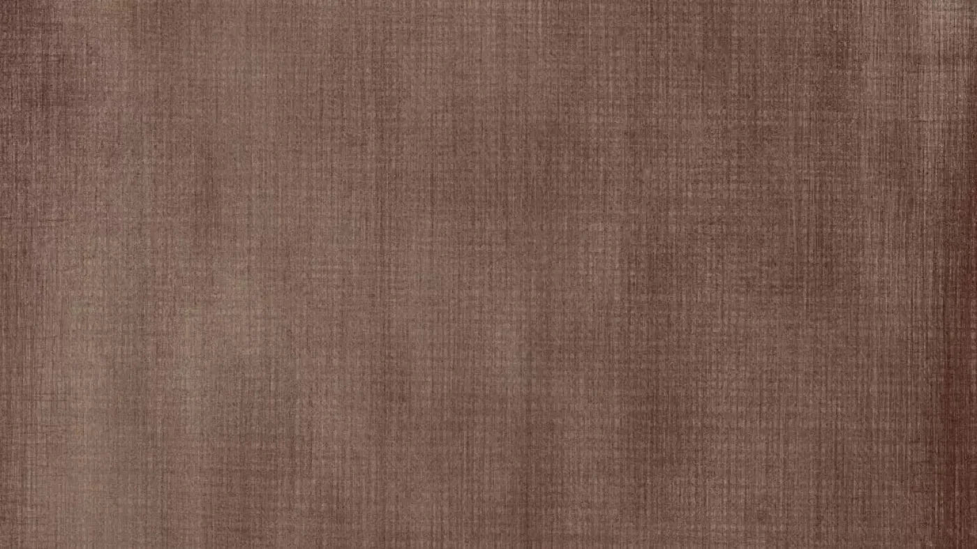 Buck 14X8 Ultracloth ( 168 X 96 Inch ) Backdrop