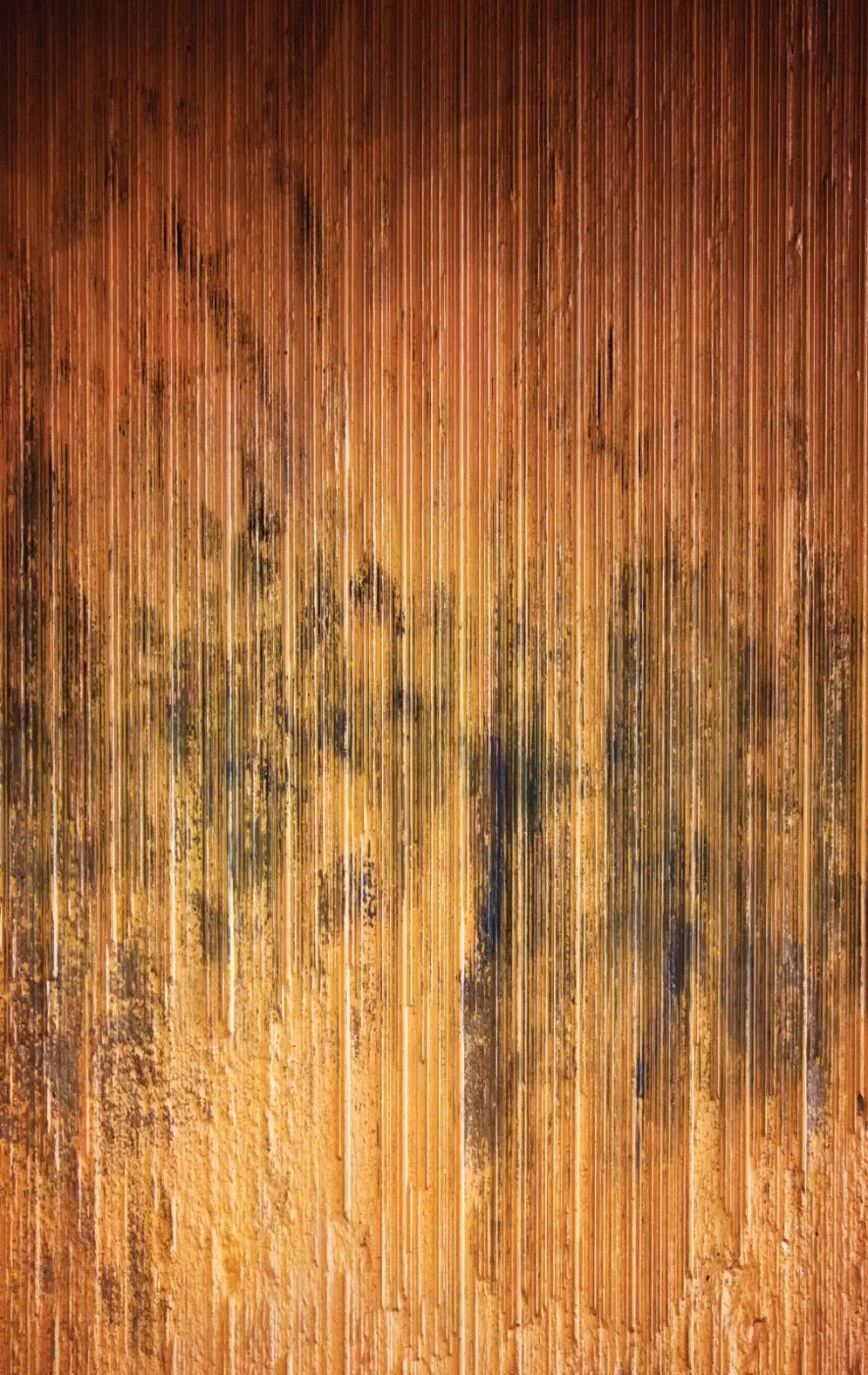 Burnt Orange 10X16 Ultracloth ( 120 X 192 Inch ) Backdrop