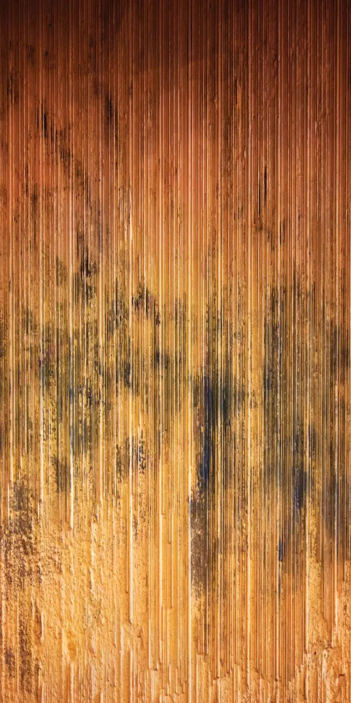 Burnt Orange 10X20 Ultracloth ( 120 X 240 Inch ) Backdrop
