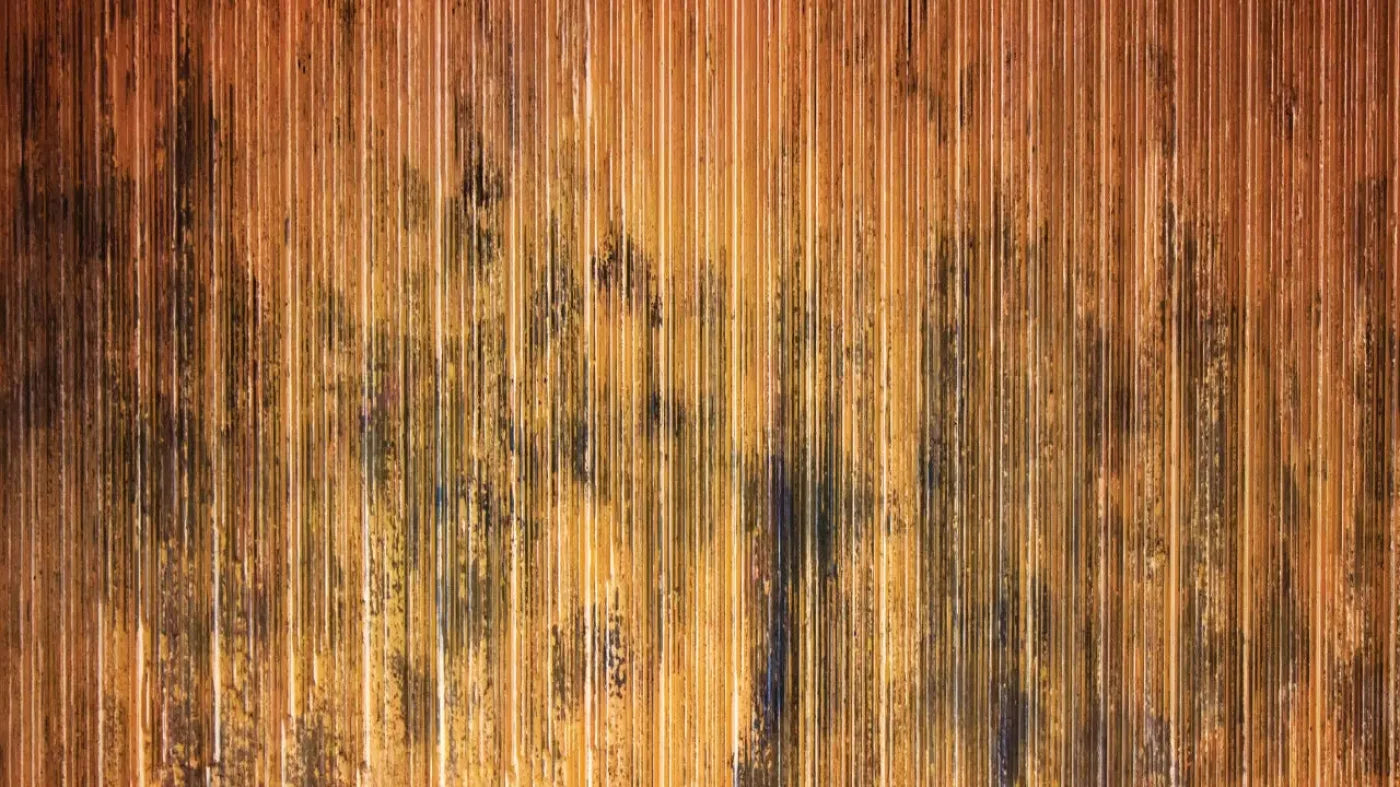 Burnt Orange 14X8 Ultracloth ( 168 X 96 Inch ) Backdrop