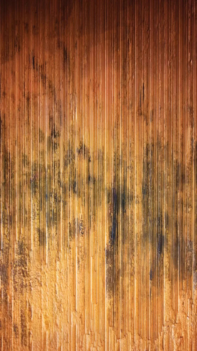 Burnt Orange 8X14 Ultracloth ( 96 X 168 Inch ) Backdrop