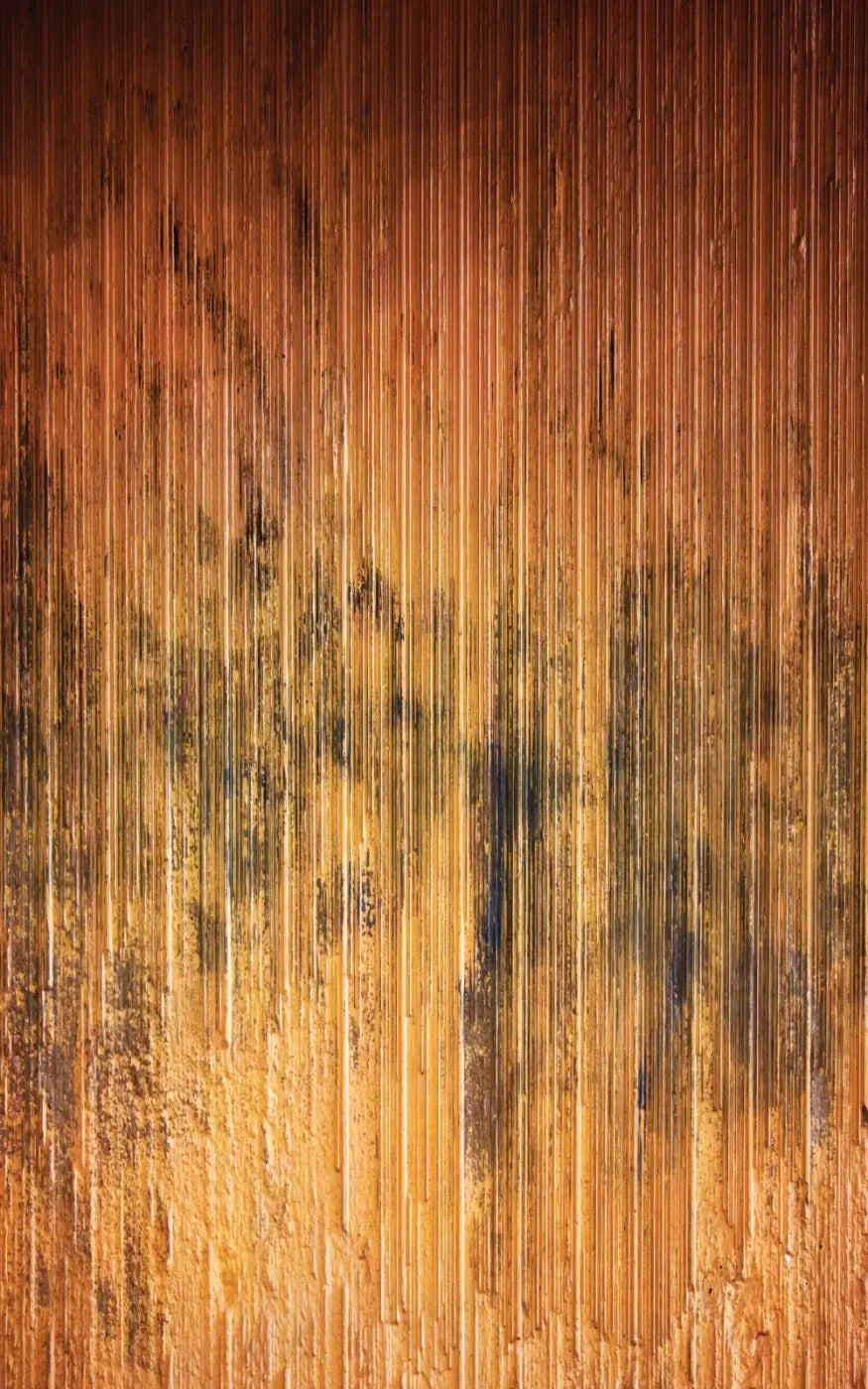Burnt Orange 9X14 Ultracloth ( 108 X 168 Inch ) Backdrop