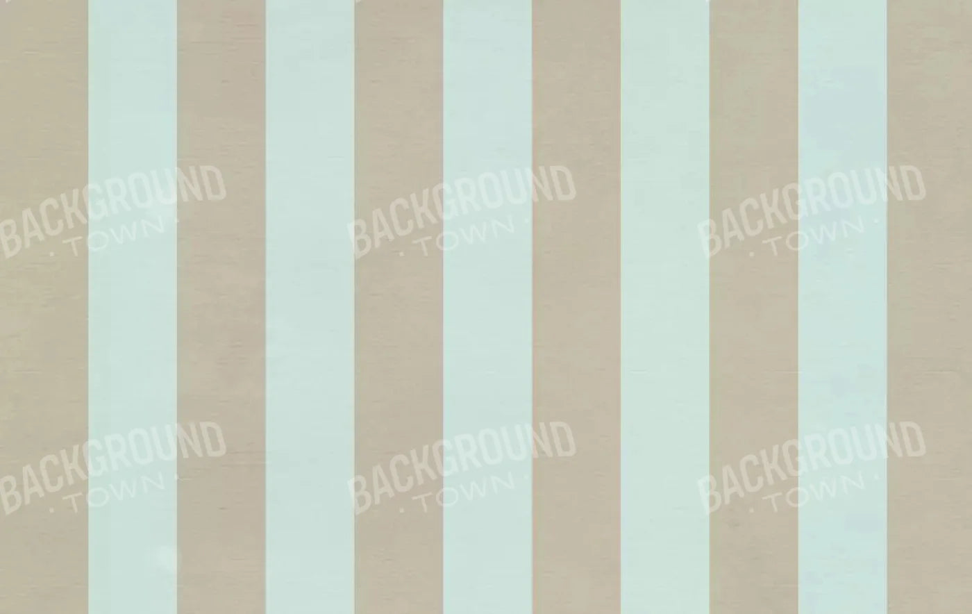 Burton 16X10 Ultracloth ( 192 X 120 Inch ) Backdrop