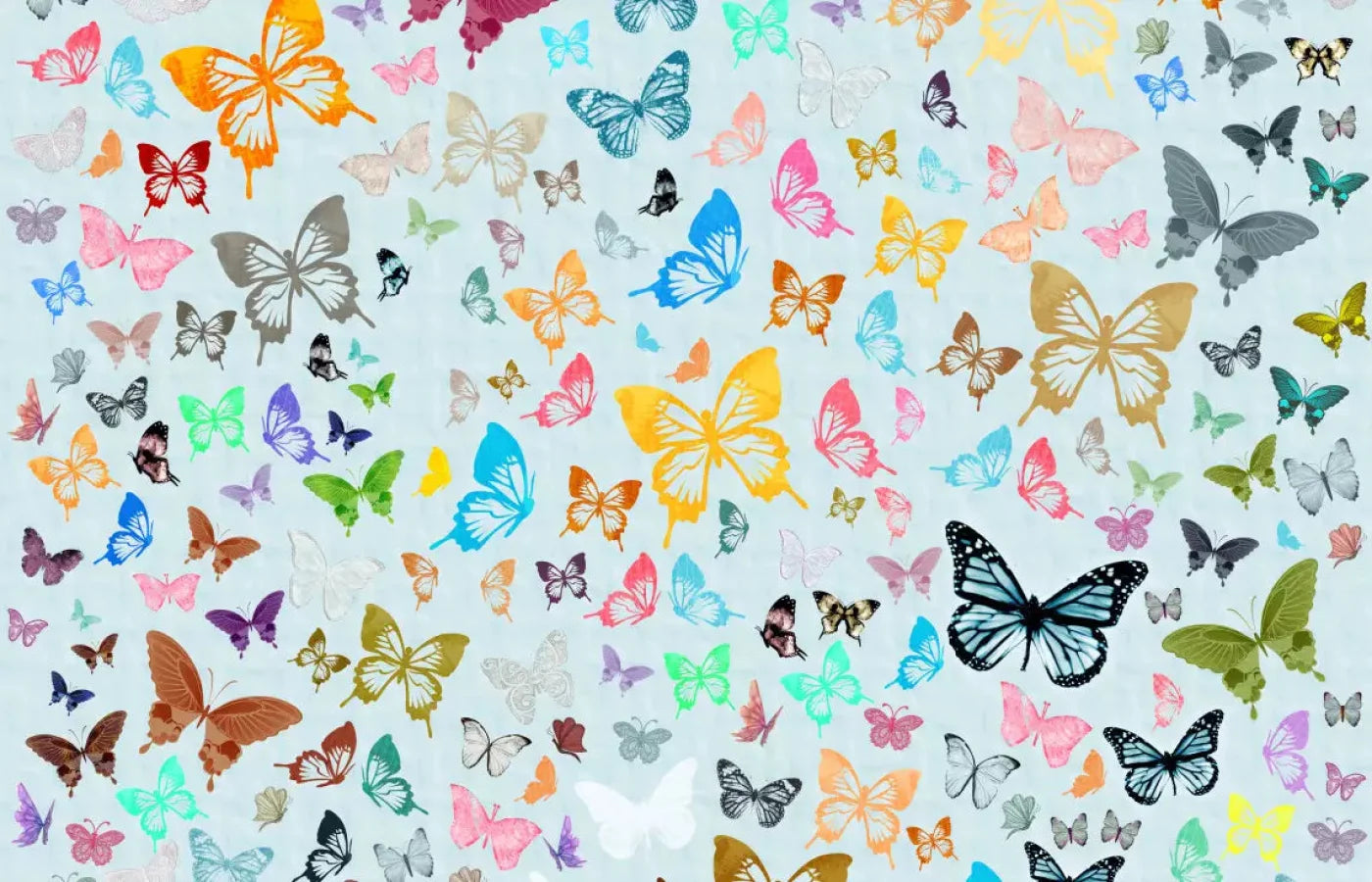 Butterfly 12X8 Ultracloth ( 144 X 96 Inch ) Backdrop