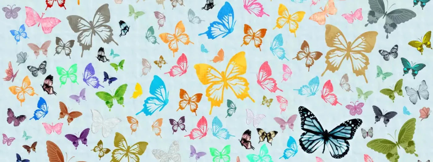 Butterfly 20X8 Ultracloth ( 240 X 96 Inch ) Backdrop