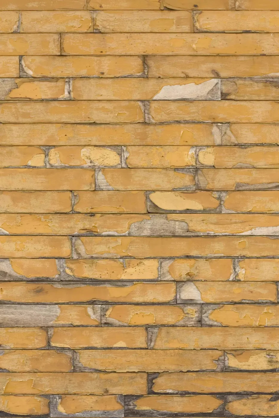 Butternut 5X76 For Lvl Up Backdrop System ( 60 X 90 Inch )