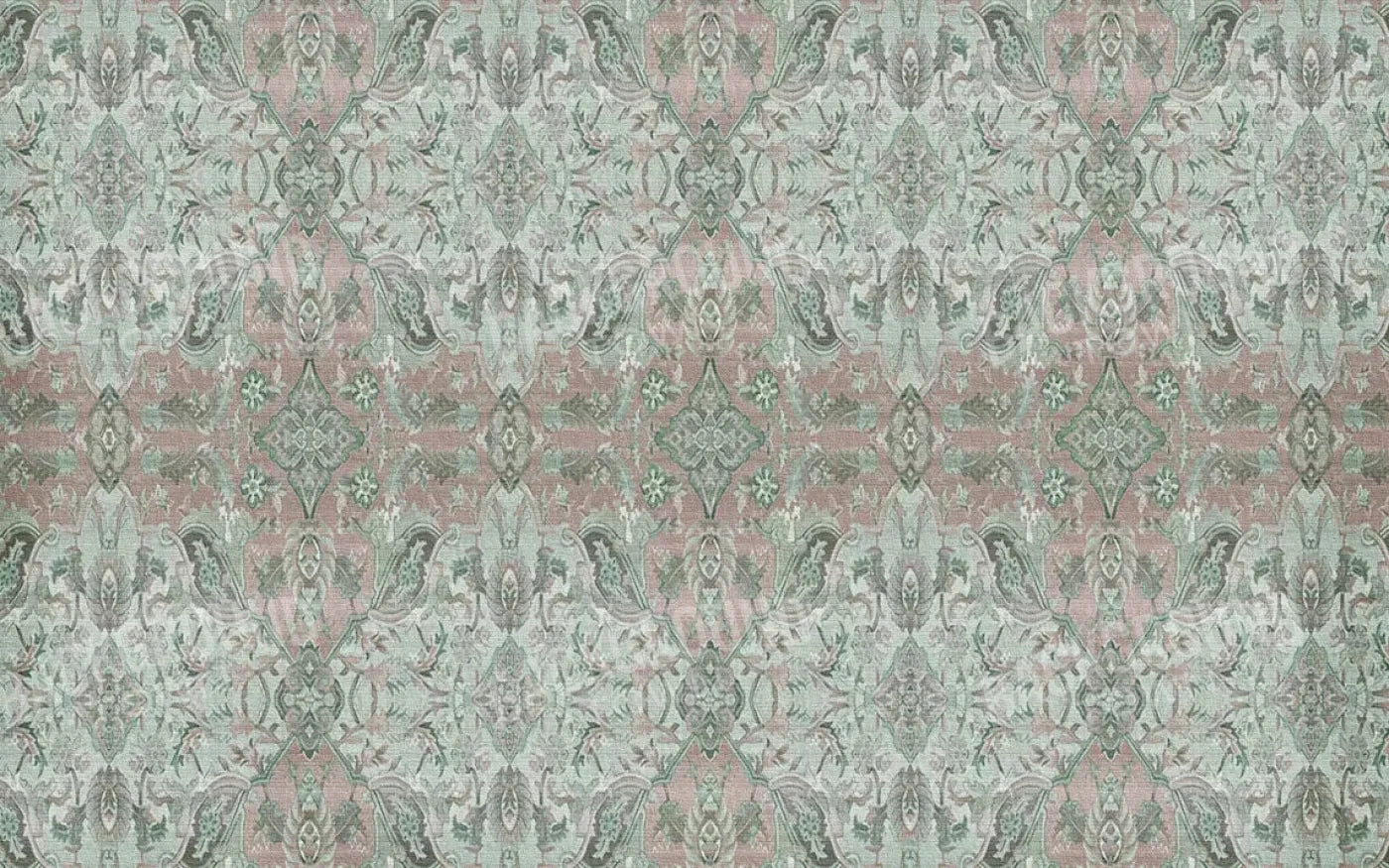 Caleb 14X9 Ultracloth ( 168 X 108 Inch ) Backdrop