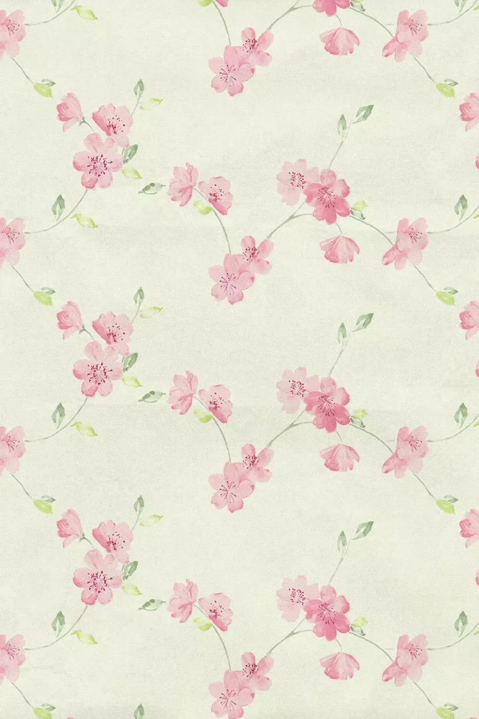 Camilla Backdrop
