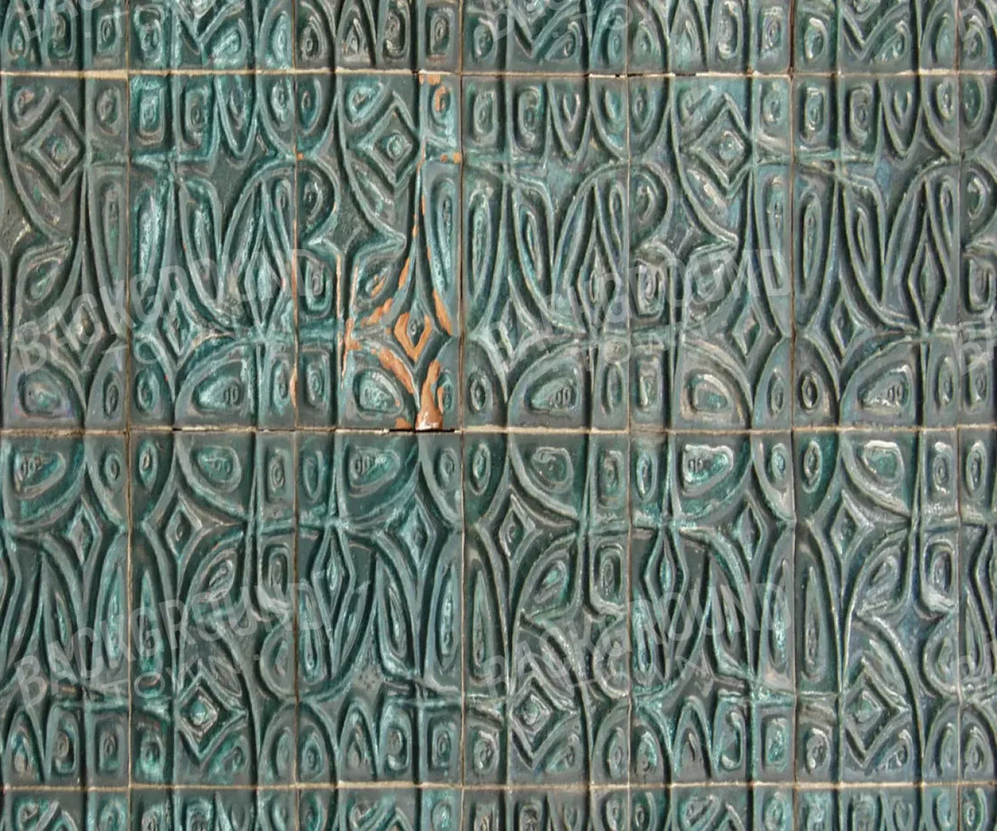 Canister 5X42 Fleece ( 60 X 50 Inch ) Backdrop