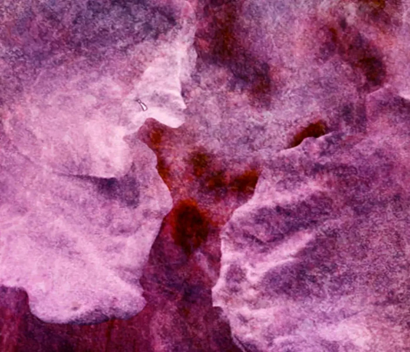 Captivate 12X10 Ultracloth ( 144 X 120 Inch ) Backdrop