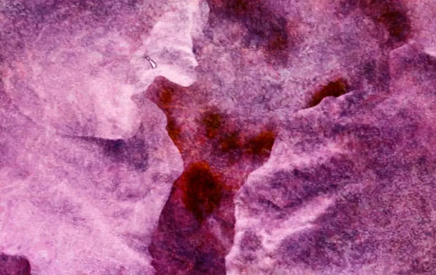 Captivate 16X10 Ultracloth ( 192 X 120 Inch ) Backdrop