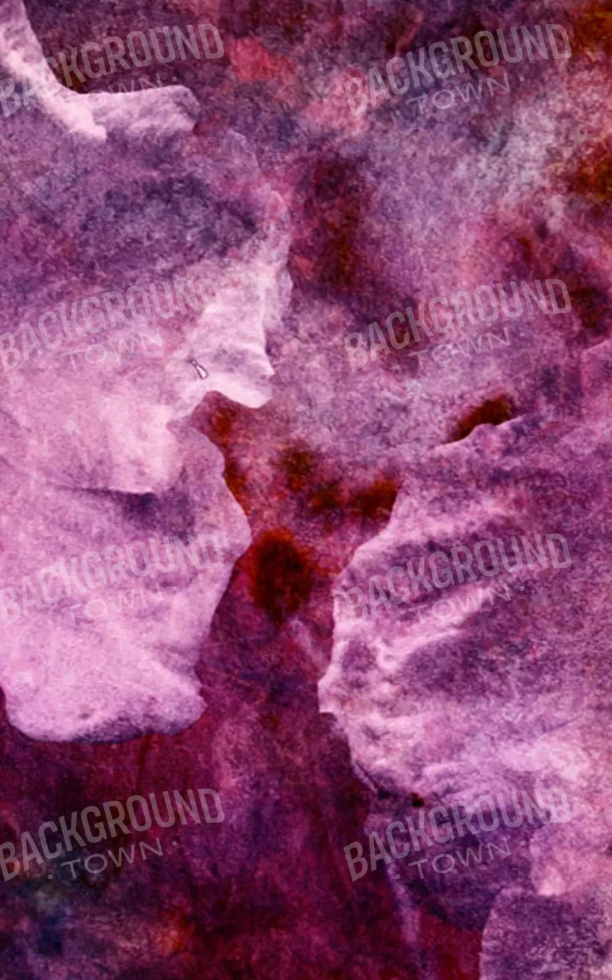 Captivate 9X14 Ultracloth ( 108 X 168 Inch ) Backdrop