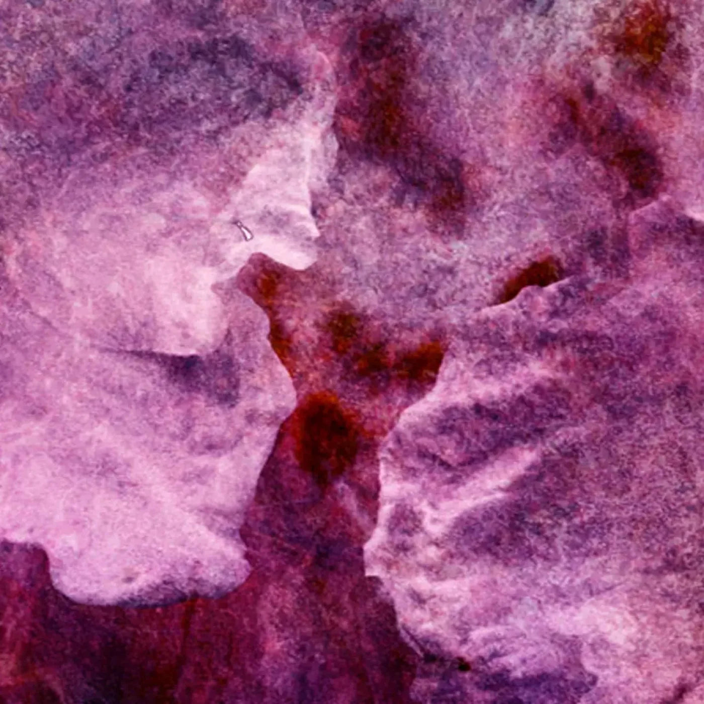 Captivate 5X5 Rubbermat Floor ( 60 X Inch ) Backdrop