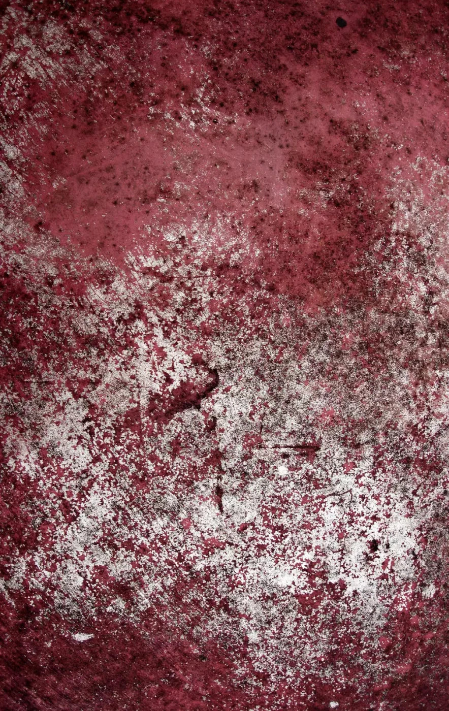 Cardinal 10X16 Ultracloth ( 120 X 192 Inch ) Backdrop
