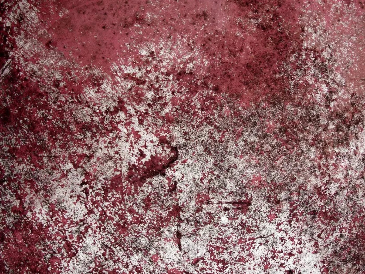 Cardinal 10X8 Fleece ( 120 X 96 Inch ) Backdrop