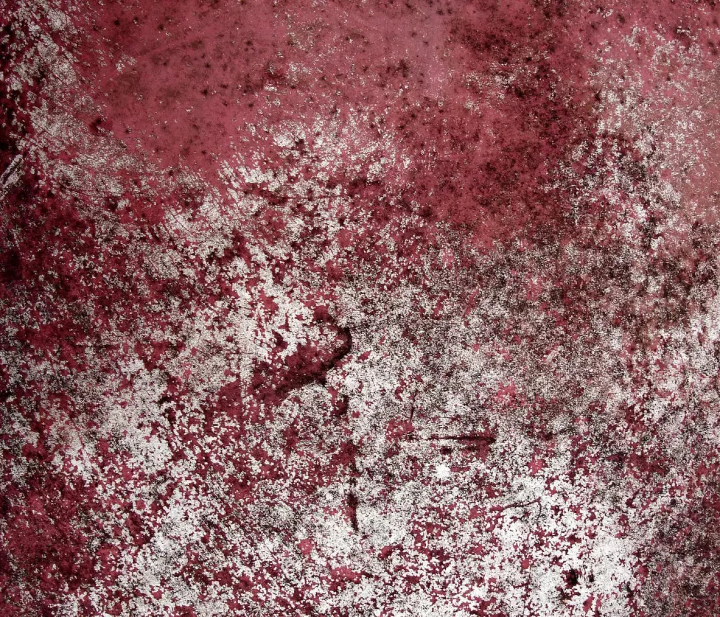 Cardinal 12X10 Ultracloth ( 144 X 120 Inch ) Backdrop