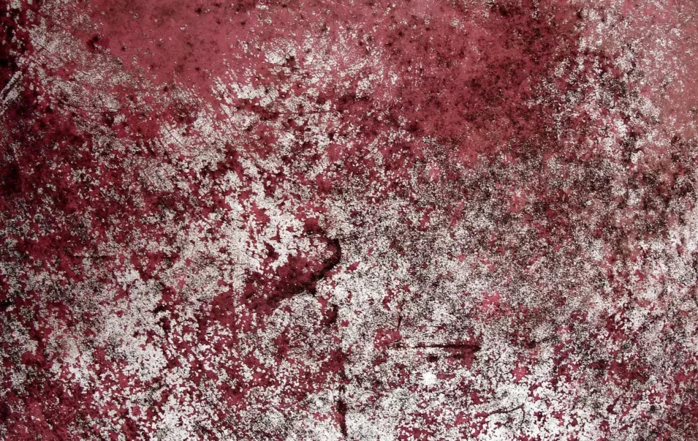 Cardinal 16X10 Ultracloth ( 192 X 120 Inch ) Backdrop