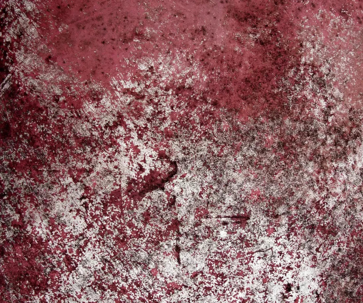 Cardinal 5X42 Fleece ( 60 X 50 Inch ) Backdrop