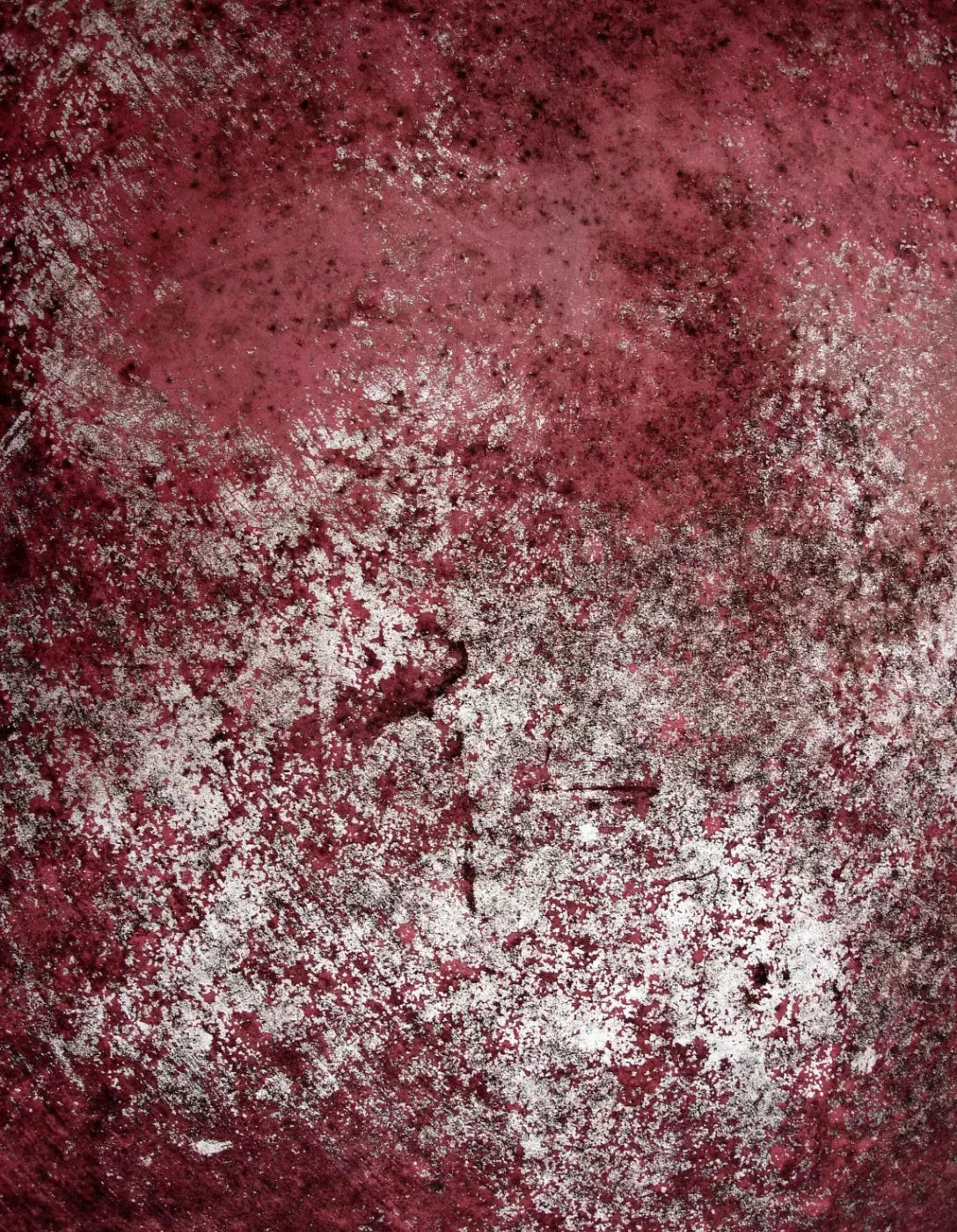 Cardinal 6X8 Fleece ( 72 X 96 Inch ) Backdrop